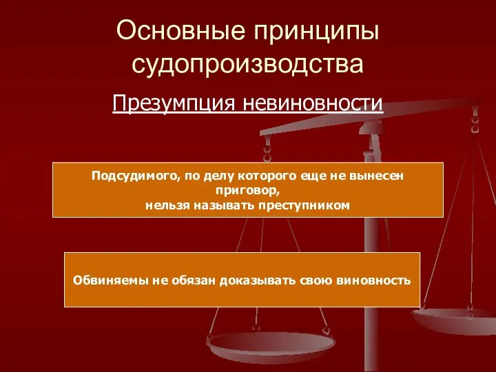 Основные принципы судопроизводства Презумпция невиновности Обвиняемы не обязан доказывать свою виновность