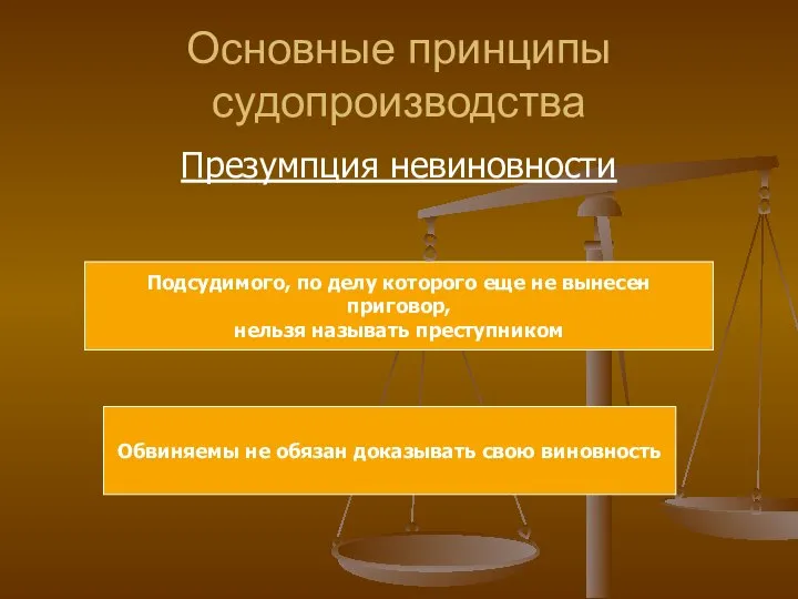 Основные принципы судопроизводства Презумпция невиновности Обвиняемы не обязан доказывать свою виновность