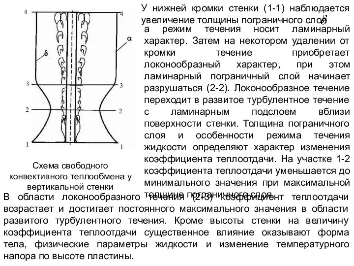 Схема свободного конвективного теплообмена у вертикальной стенки У нижней кромки стенки