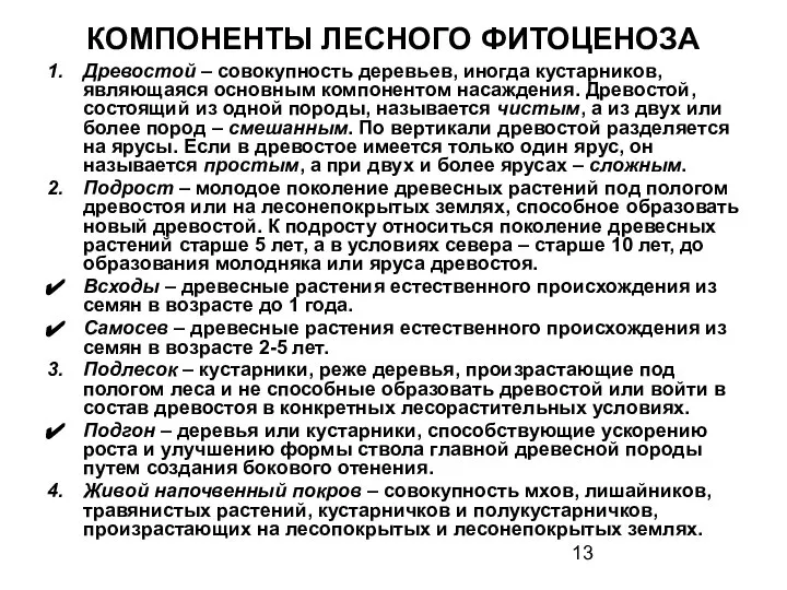 КОМПОНЕНТЫ ЛЕСНОГО ФИТОЦЕНОЗА Древостой – совокупность деревьев, иногда кустарников, являющаяся основным