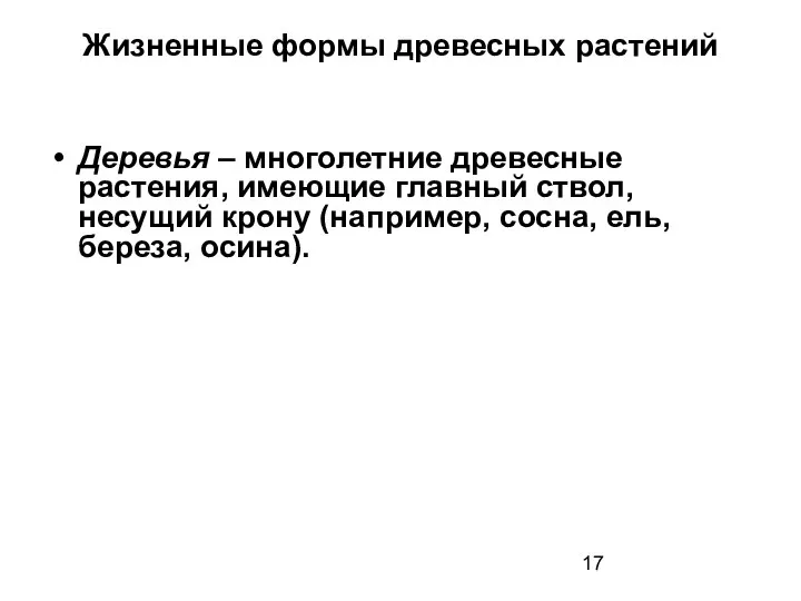 Жизненные формы древесных растений Деревья – многолетние древесные растения, имеющие главный