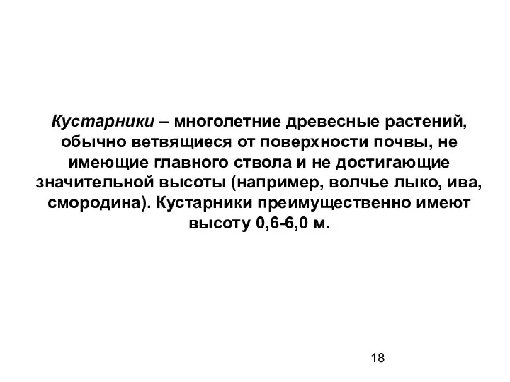 Кустарники – многолетние древесные растений, обычно ветвящиеся от поверхности почвы, не