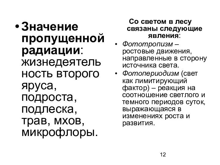 Значение пропущенной радиации: жизнедеятельность второго яруса, подроста, подлеска, трав, мхов, микрофлоры.