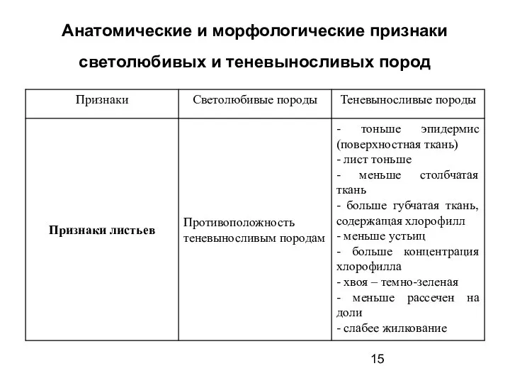 Анатомические и морфологические признаки светолюбивых и теневыносливых пород