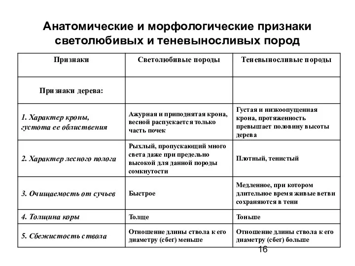 Анатомические и морфологические признаки светолюбивых и теневыносливых пород