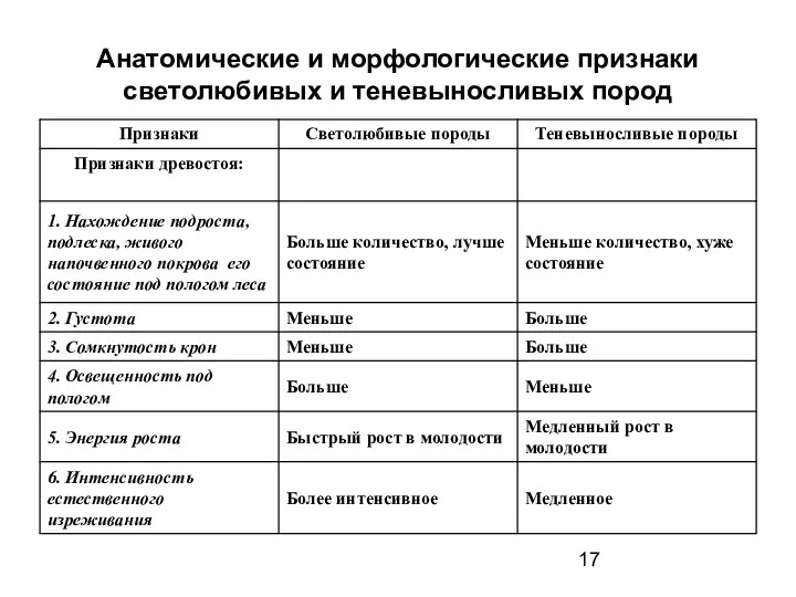 Анатомические и морфологические признаки светолюбивых и теневыносливых пород