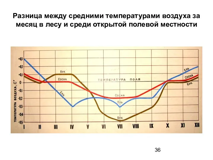 Разница между средними температурами воздуха за месяц в лесу и среди открытой полевой местности