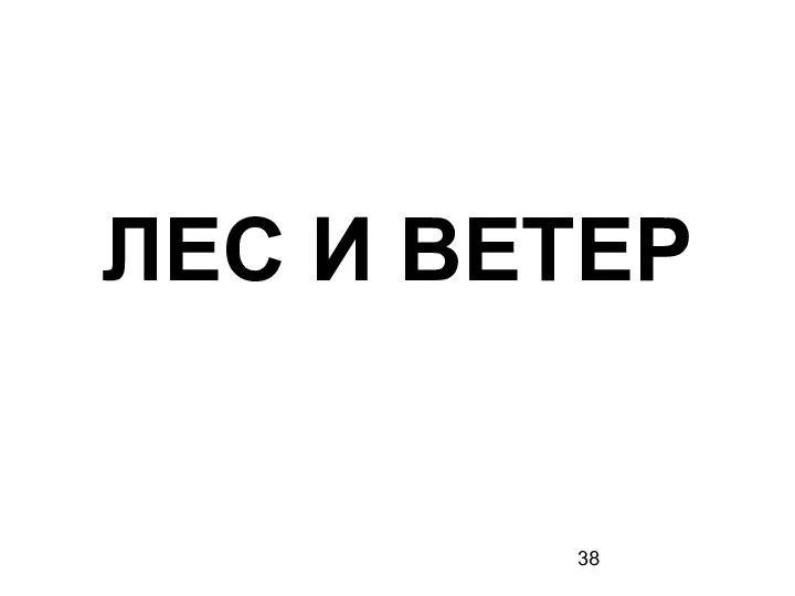 ЛЕС И ВЕТЕР