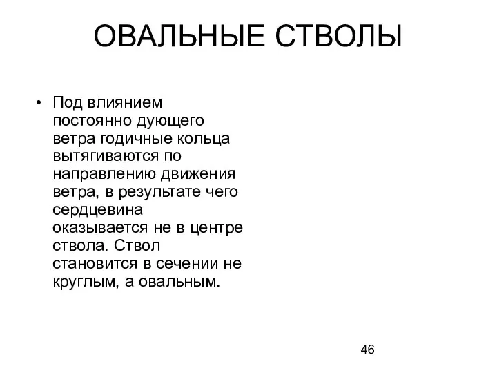 Под влиянием постоянно дующего ветра годичные кольца вытягиваются по направлению движения