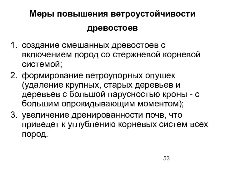 Меры повышения ветроустойчивости древостоев создание смешанных древостоев с включением пород со