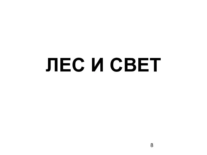 ЛЕС И СВЕТ