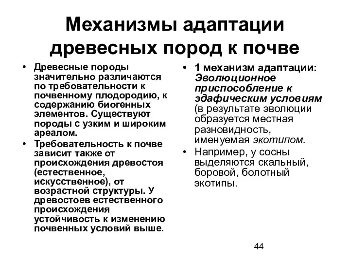 Механизмы адаптации древесных пород к почве Древесные породы значительно различаются по