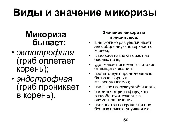 Виды и значение микоризы Микориза бывает: эктотрофная (гриб оплетает корень); эндотрофная