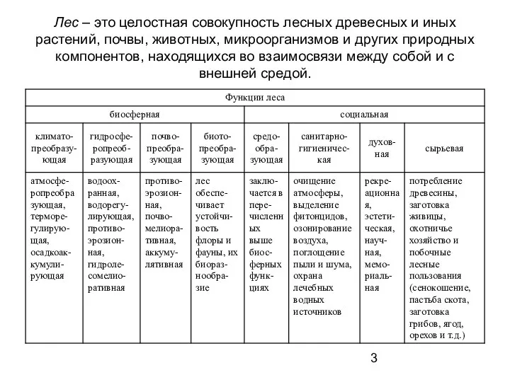 Лес – это целостная совокупность лесных древесных и иных растений, почвы,