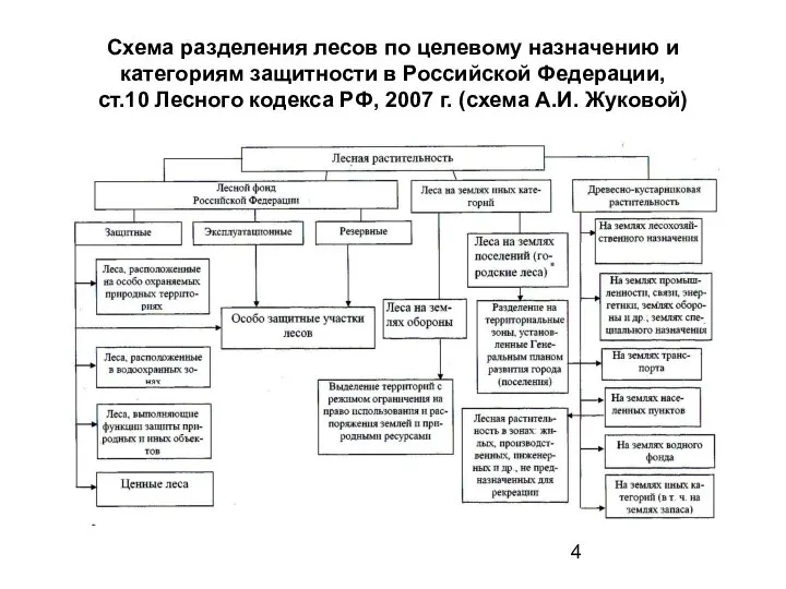Схема разделения лесов по целевому назначению и категориям защитности в Российской
