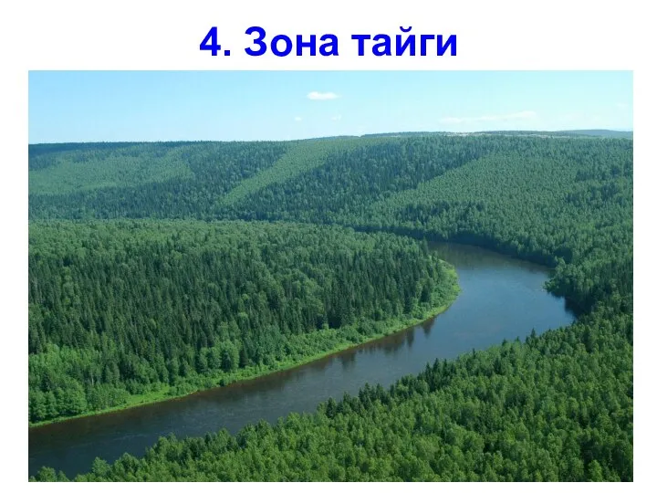 4. Зона тайги