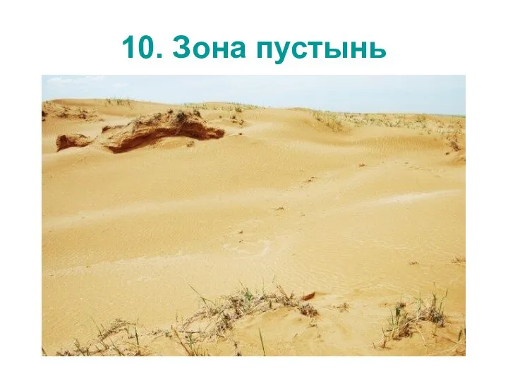 10. Зона пустынь