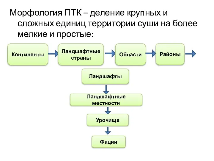 Морфология ПТК – деление крупных и сложных единиц территории суши на