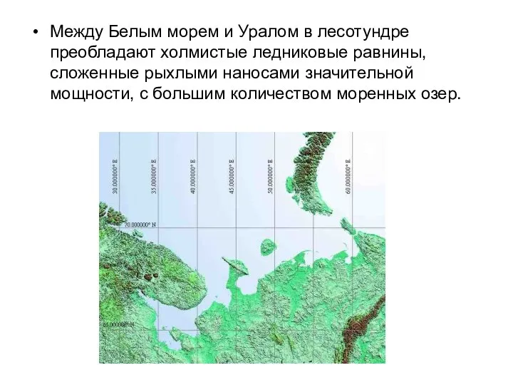 Между Белым морем и Уралом в лесотундре преобладают холмистые ледниковые равнины,