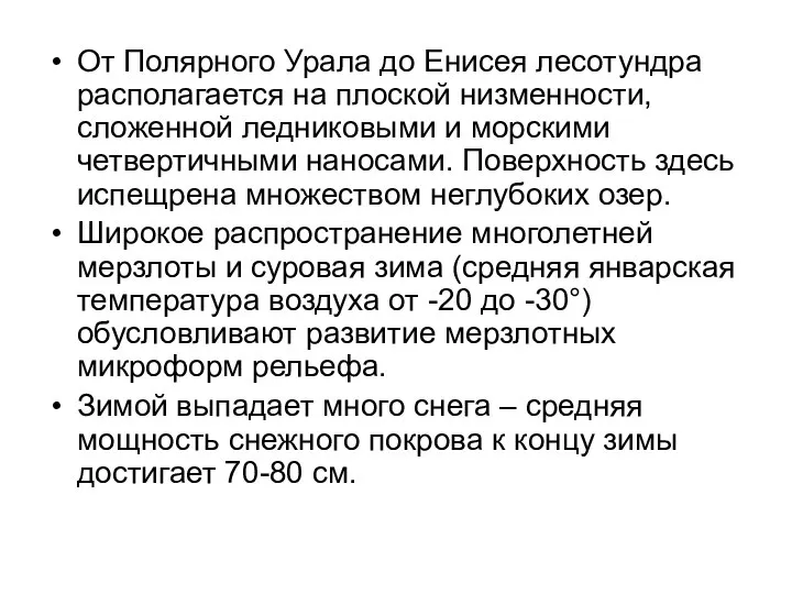 От Полярного Урала до Енисея лесотундра располагается на плоской низменности, сложенной