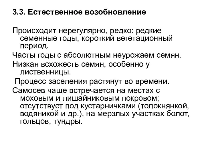 3.3. Естественное возобновление Происходит нерегулярно, редко: редкие семенные годы, короткий вегетационный