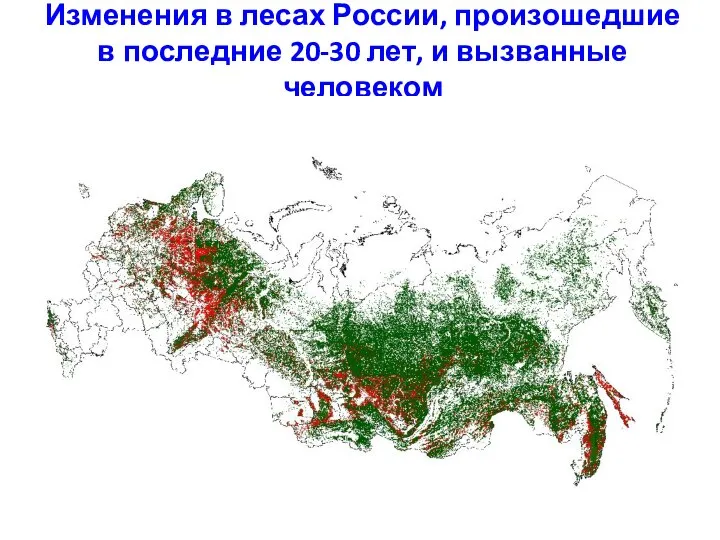 Изменения в лесах России, произошедшие в последние 20-30 лет, и вызванные человеком