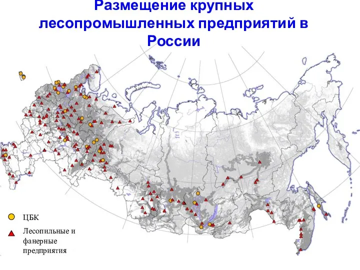 Размещение крупных лесопромышленных предприятий в России ЦБК Лесопильные и фанерные предприятия