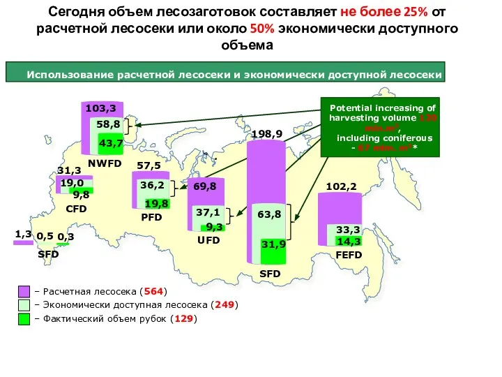 Сегодня объем лесозаготовок составляет не более 25% от расчетной лесосеки или