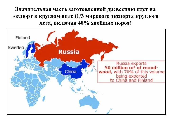 Значительная часть заготовленной древесины идет на экспорт в круглом виде (1/3