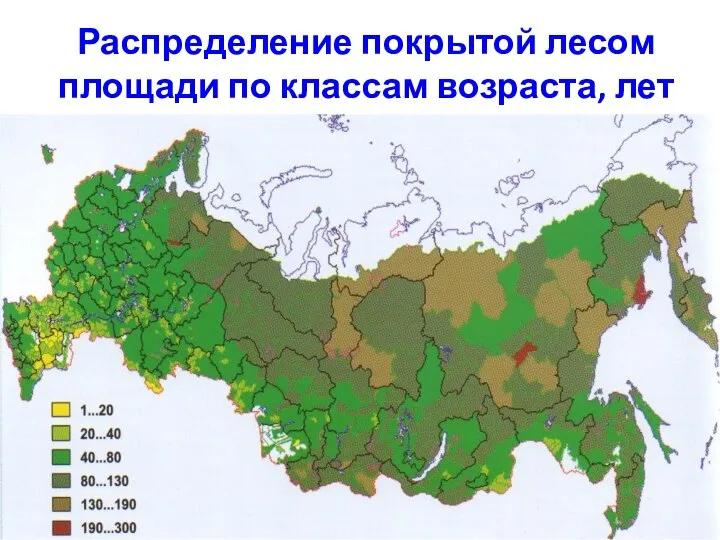 Распределение покрытой лесом площади по классам возраста, лет