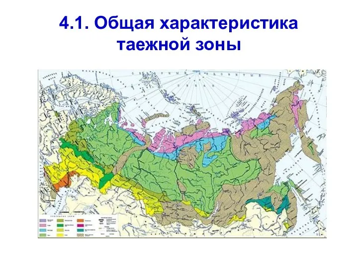 4.1. Общая характеристика таежной зоны