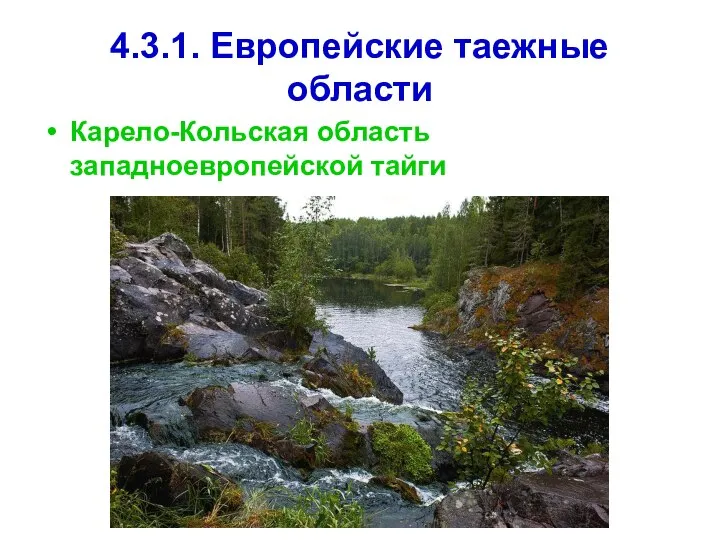 4.3.1. Европейские таежные области Карело-Кольская область западноевропейской тайги