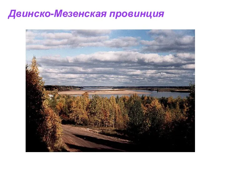 Двинско-Мезенская провинция