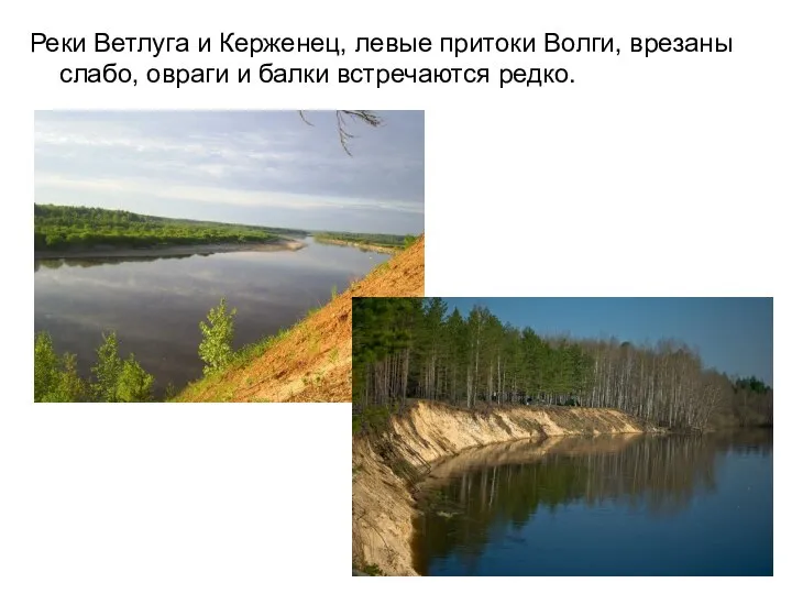 Реки Ветлуга и Керженец, левые притоки Волги, врезаны слабо, овраги и балки встречаются редко.