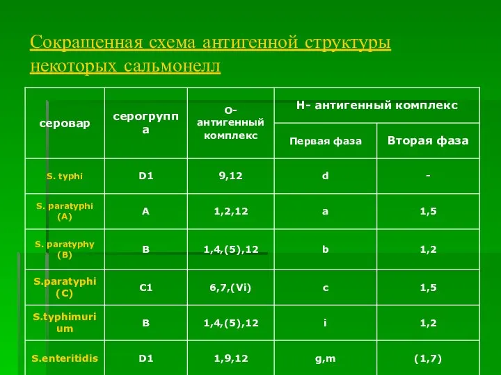 Сокращенная схема антигенной структуры некоторых сальмонелл