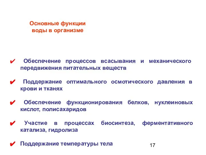 Основные функции воды в организме Обеспечение процессов всасывания и механического передвижения