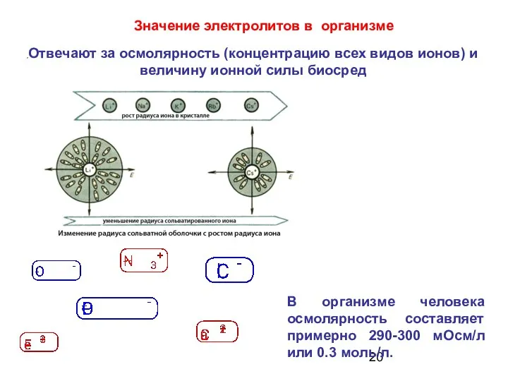 Отвечают за осмолярность (концентрацию всех видов ионов) и величину ионной силы