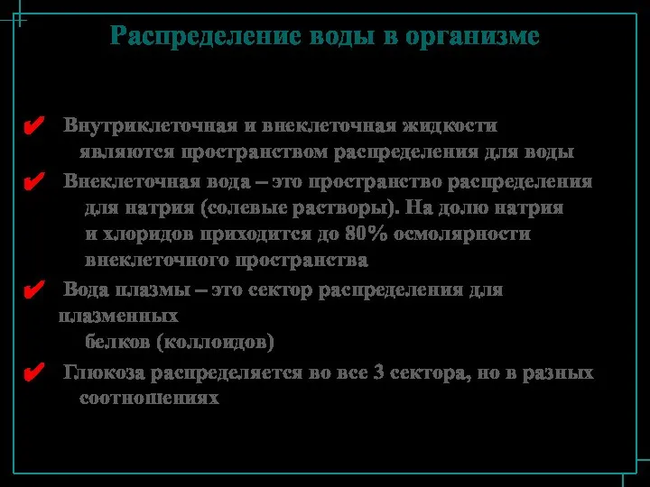 Распределение воды в организме Внутриклеточная и внеклеточная жидкости являются пространством распределения