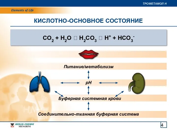 CO2 + H2O ⮀ H2CO3 ⮀ H+ + HCO3- КИСЛОТНО-ОСНОВНОЕ СОСТОЯНИЕ