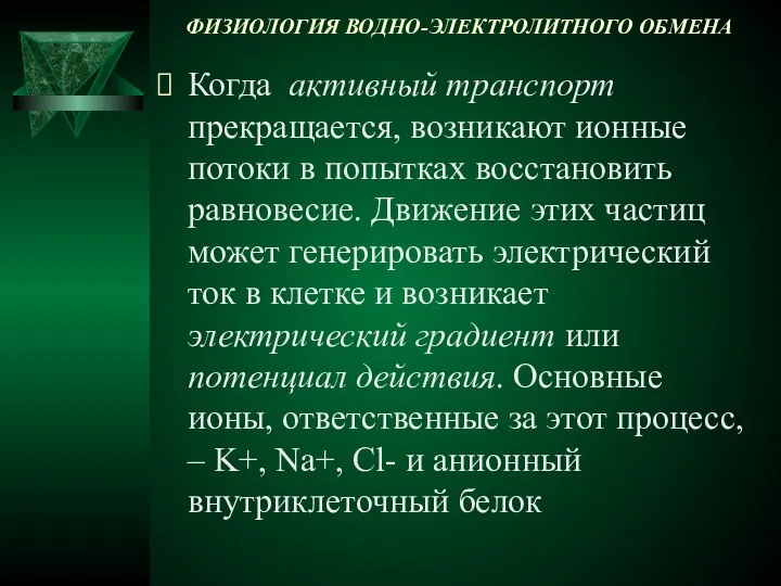 ФИЗИОЛОГИЯ ВОДНО-ЭЛЕКТРОЛИТНОГО ОБМЕНА Когда активный транспорт прекращается, возникают ионные потоки в