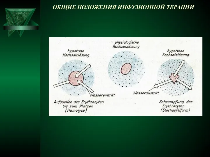 ОБЩИЕ ПОЛОЖЕНИЯ ИНФУЗИОННОЙ ТЕРАПИИ