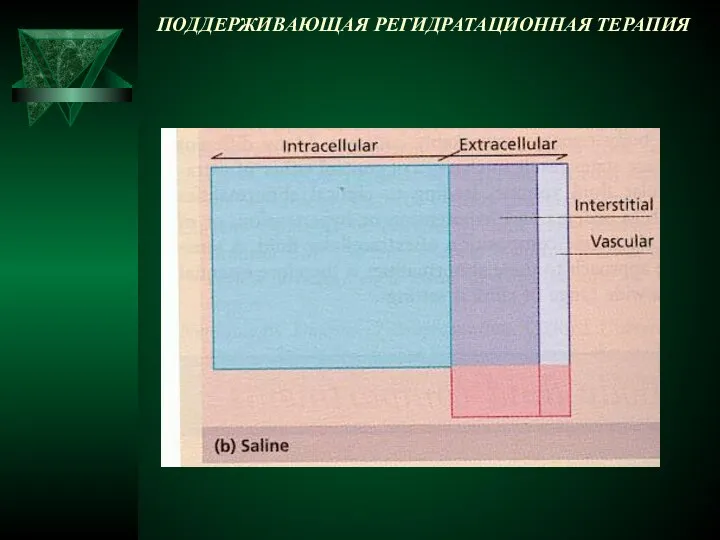 ПОДДЕРЖИВАЮЩАЯ РЕГИДРАТАЦИОННАЯ ТЕРАПИЯ