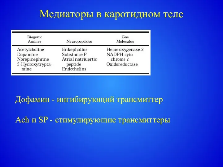 Медиаторы в каротидном теле Дофамин - ингибирующий трансмиттер Ach и SP - стимулирующие трансмиттеры