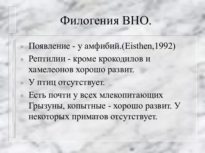 Филогения ВНО. Появление - у амфибий.(Eisthen,1992) Рептилии - кроме крокодилов и