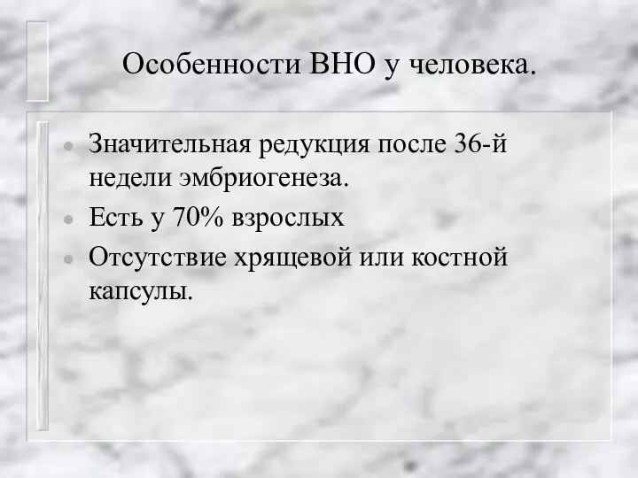 Особенности ВНО у человека. Значительная редукция после 36-й недели эмбриогенеза. Есть