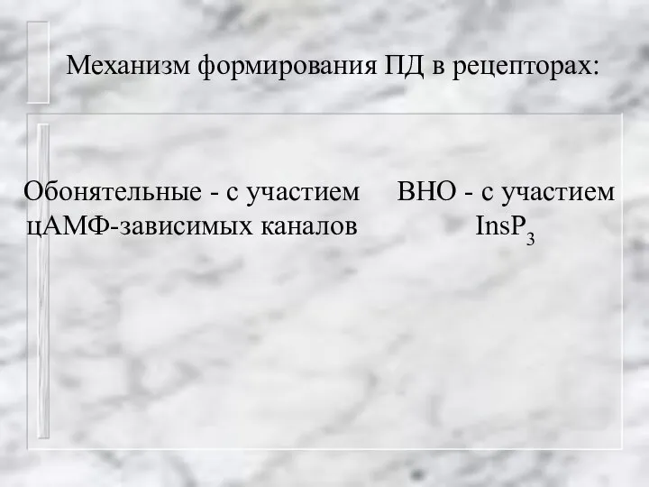 Механизм формирования ПД в рецепторах: Обонятельные - с участием цАМФ-зависимых каналов ВНО - с участием InsP3