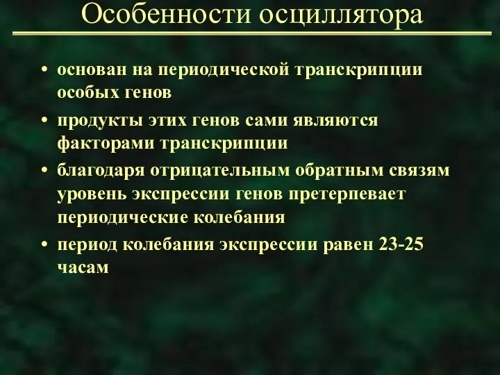 Особенности осциллятора основан на периодической транскрипции особых генов продукты этих генов