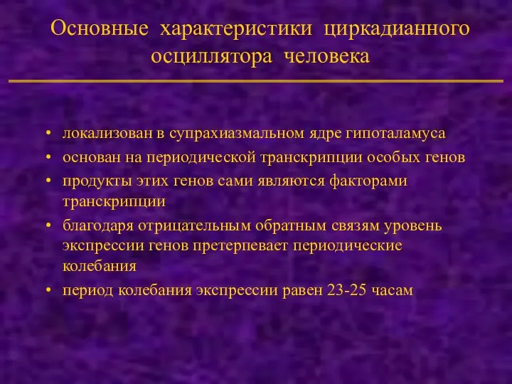 Основные характеристики циркадианного осциллятора человека локализован в супрахиазмальном ядре гипоталамуса основан