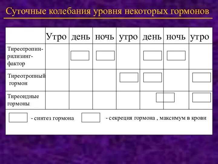 Суточные колебания уровня некоторых гормонов Утро день ночь утро день ночь