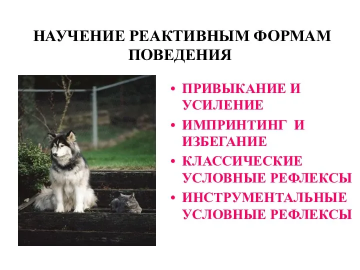 НАУЧЕНИЕ РЕАКТИВНЫМ ФОРМАМ ПОВЕДЕНИЯ ПРИВЫКАНИЕ И УСИЛЕНИЕ ИМПРИНТИНГ И ИЗБЕГАНИЕ КЛАССИЧЕСКИЕ УСЛОВНЫЕ РЕФЛЕКСЫ ИНСТРУМЕНТАЛЬНЫЕ УСЛОВНЫЕ РЕФЛЕКСЫ